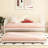 Metal Frame Daybed with Trundle-1791248984