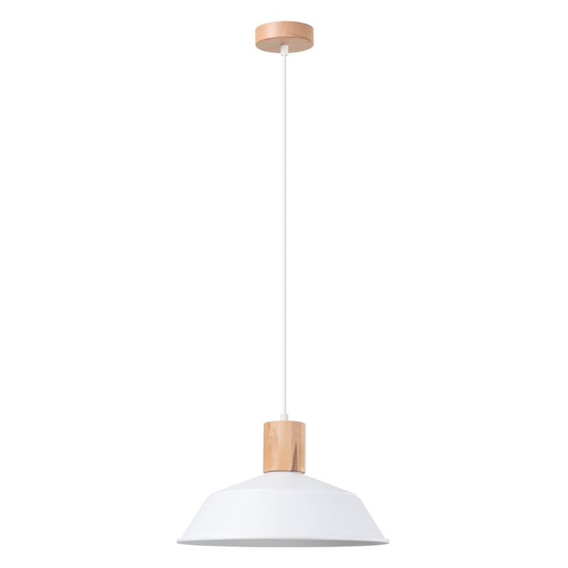 1 - Light Stainless Steel Pendant, White