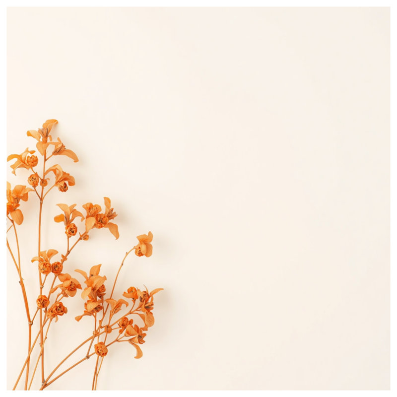 Dried Orange Flowers Double Sided Throw Pillows, 20 x 20 inches