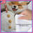 Cute Fox Trio Comforter-125273218