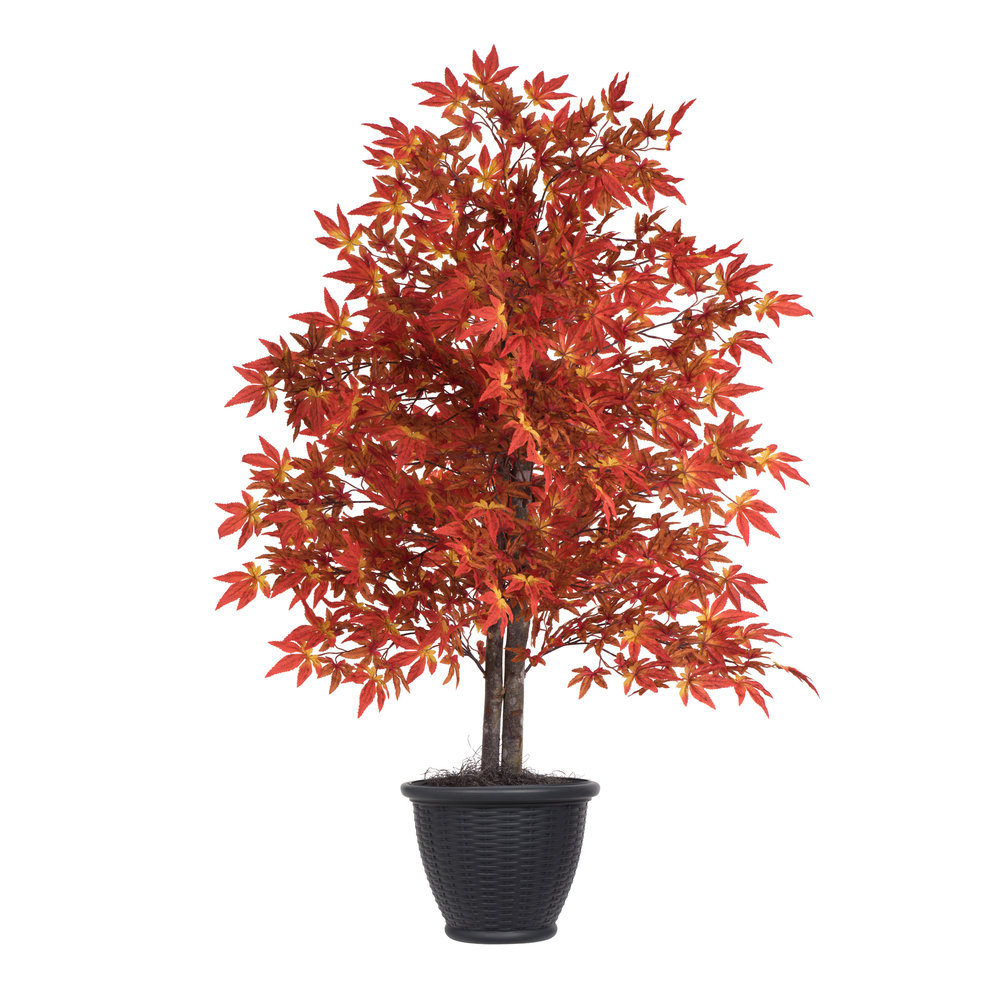 Primrue Artificial Orange Maple Series & Reviews | Wayfair