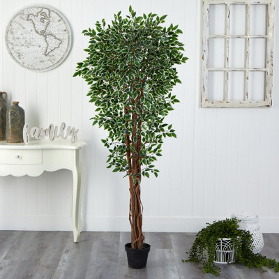 70in. Variegated Ficus Artificial Tree UV Resistant (Indoor/Outdoor)