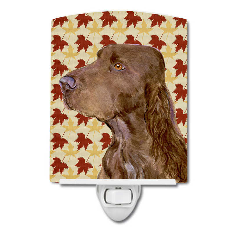 Éclairage pour nuit en céramique en céramique terre-neuve, Field spaniel
