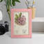 Cactus antique III, impression sur papier-881012498-881012507
