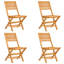 Ensemble de salle à manger de patio en bois massif 5 pièces Red Barrel Studio® en teck_1 x table, 4 x chaise de jardin pliante_Round