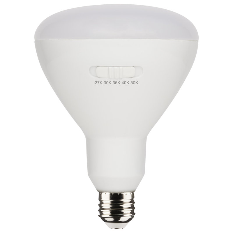 13 Watt White LED Bulb