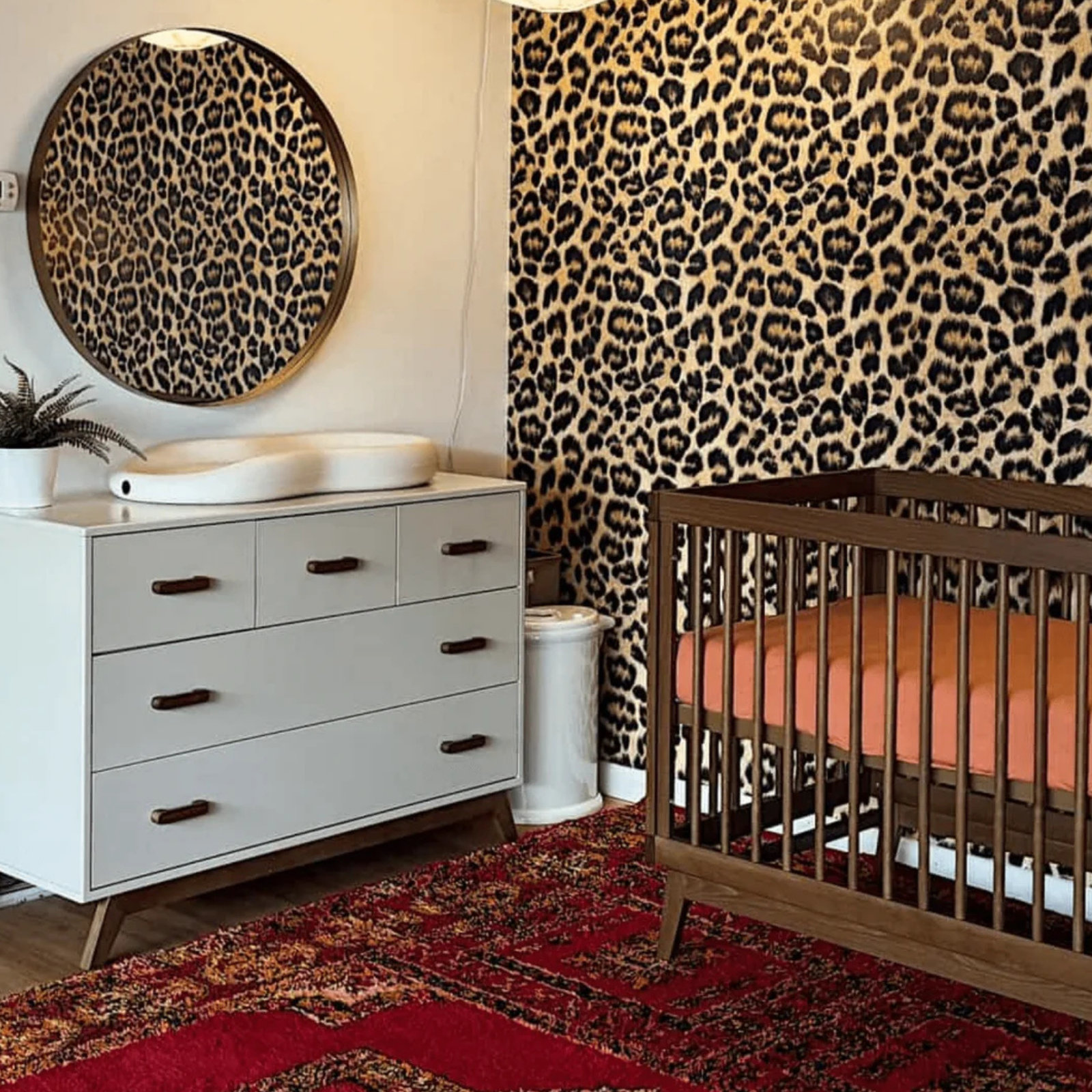 Soho 5-drawer dresser, Almond Milk/Walnut
