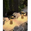 Iron Table Lamp-1484828251