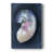 Lost Shell II -Gallery Wrapped Cavas-93319529