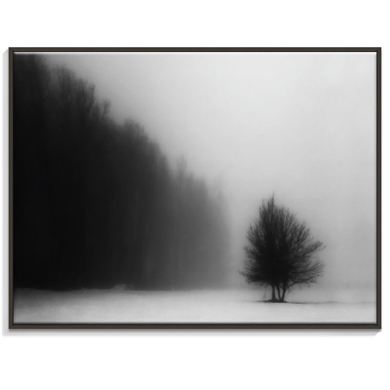 Print on Canvas, 41cm H x 51cm W, Black Floater Frame