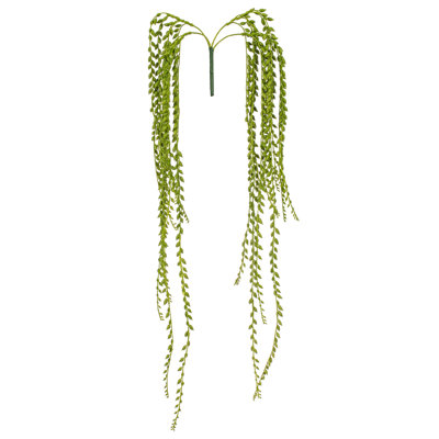 39" Senecio Succulent