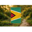 Drapeau de la Guyane - Drapeau extérieur