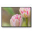 «Blush», reproduction d'un seul cadre photo sur toile-639377553-639377558
