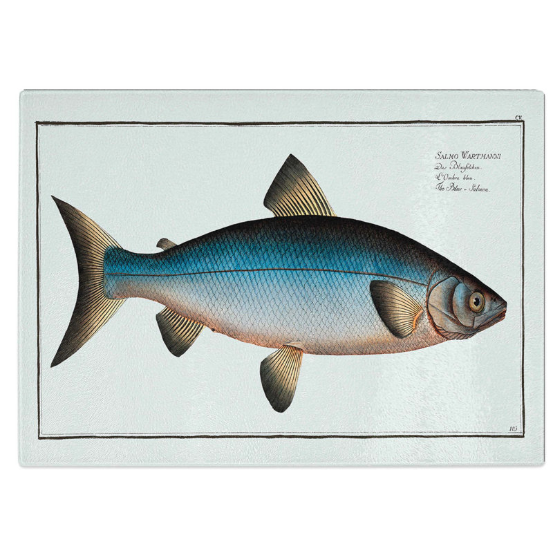 Tempered Glass Salmon Fish Chopping Board, 39 cm W x 28.5 cm L