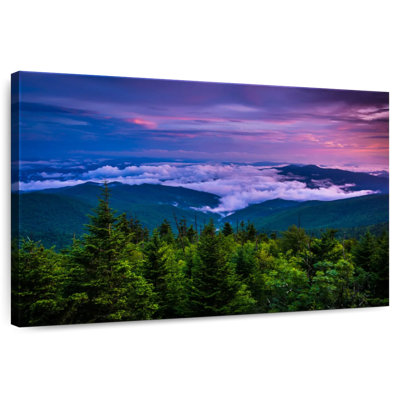 Alvord Clingmans Dome Pine Forest