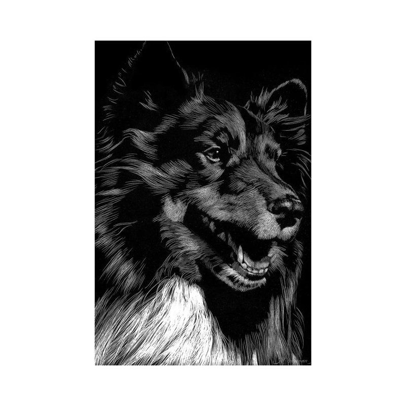 Canine Scratchboard X 1 Piece Wrapped Canvas Wall Art, 30.48 cm H x 45.72 cm W