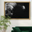 «Wild Scratchboard III», impression sur toile encadrée-1318394965-1318394964