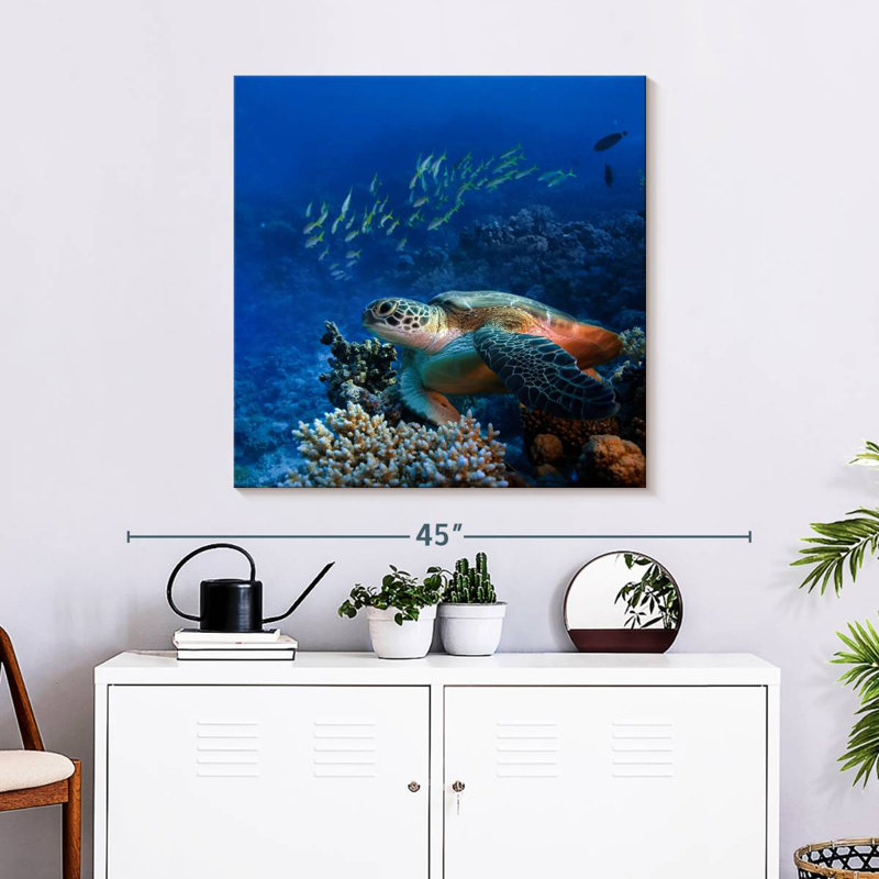 Brampt Corals And Turtle