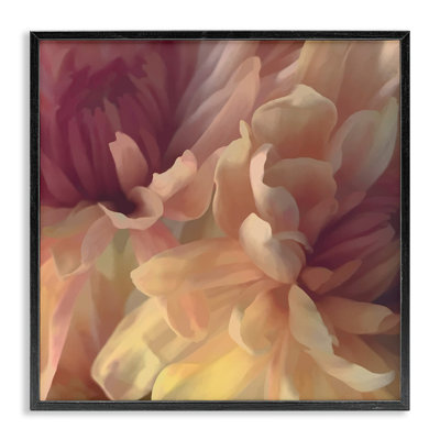 «Curling Dahlia Petals», estampe numérique encadrée par David Pollard