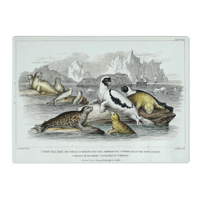 Tempered Glass Seal Illustration by Oliver Goldsmith Chopping Board, 39 cm x 28.5 cm