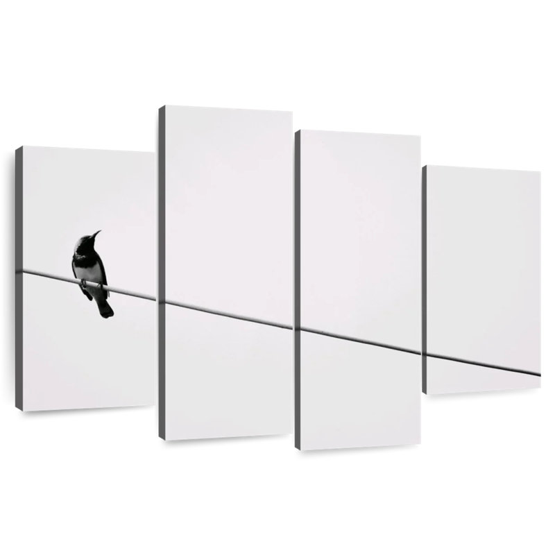 Brampt oiseau simple sur fil