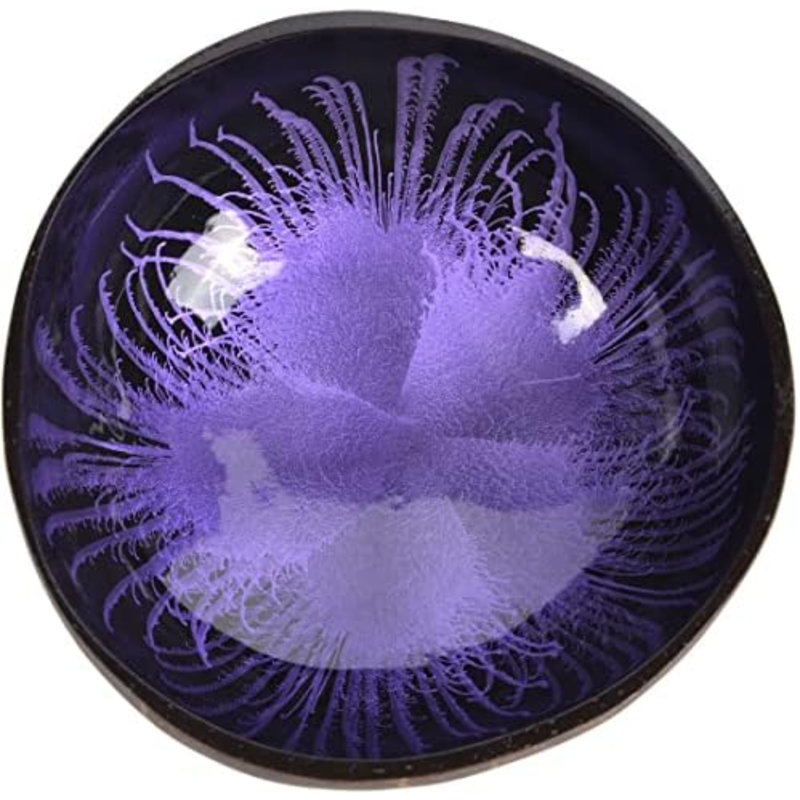 Natural Natural Coconut Bowl, Mauve / Noir