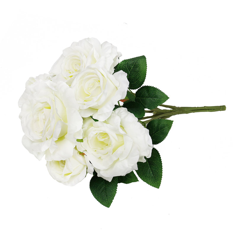 Rosier artificiel, Blanc