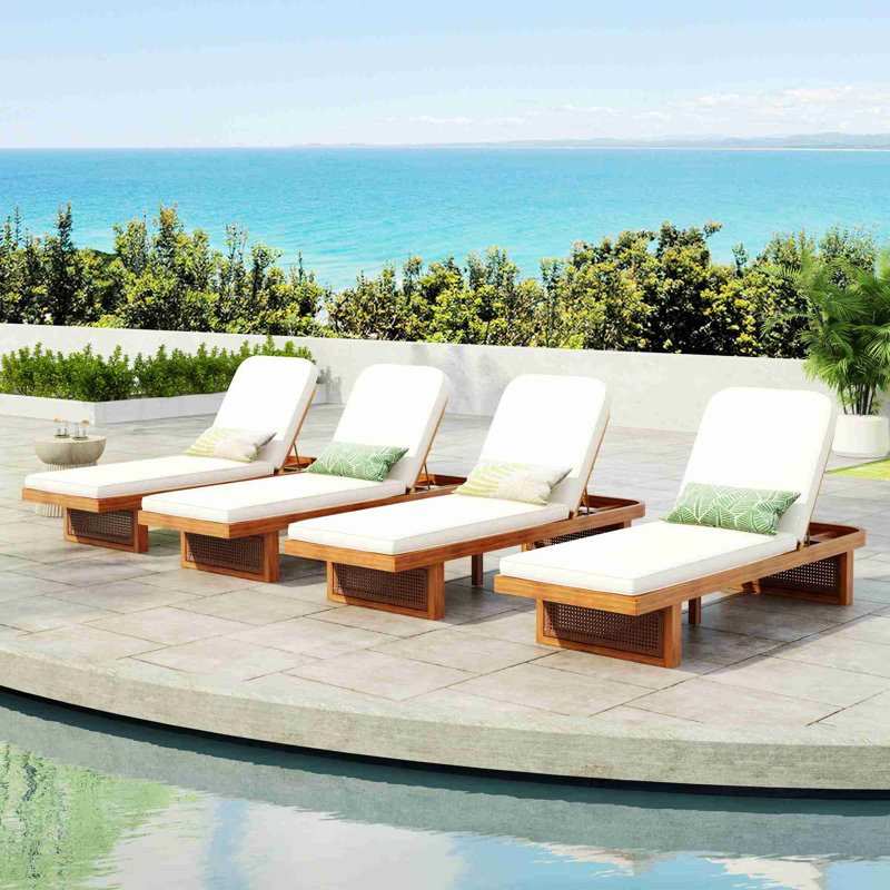 Chaise longue d'extérieur avec coussin 4 pièces, 4