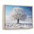Cadre naturel flottant