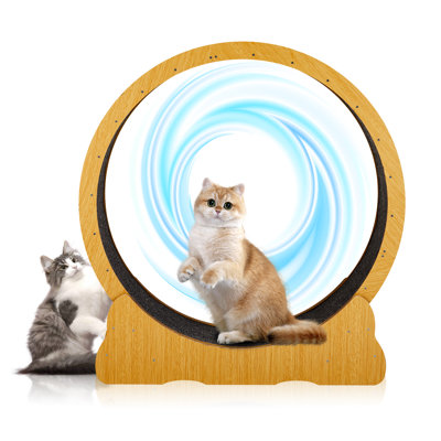 Large Treadmill Cat Exercise Wheel For Running Silent