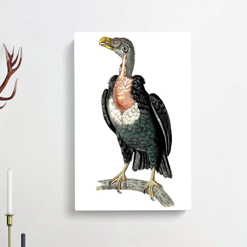 Black Vulture by George Shaw - Wrapped Canvas Painting, 60cm H x 40cm W x 3cm D