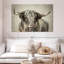 Grand Kyloe Bull-891965096