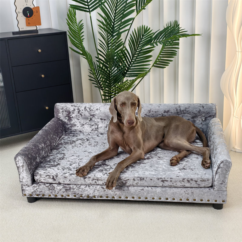 Canapé pour chien, L 47,2 po x P 29 po x H 16 po