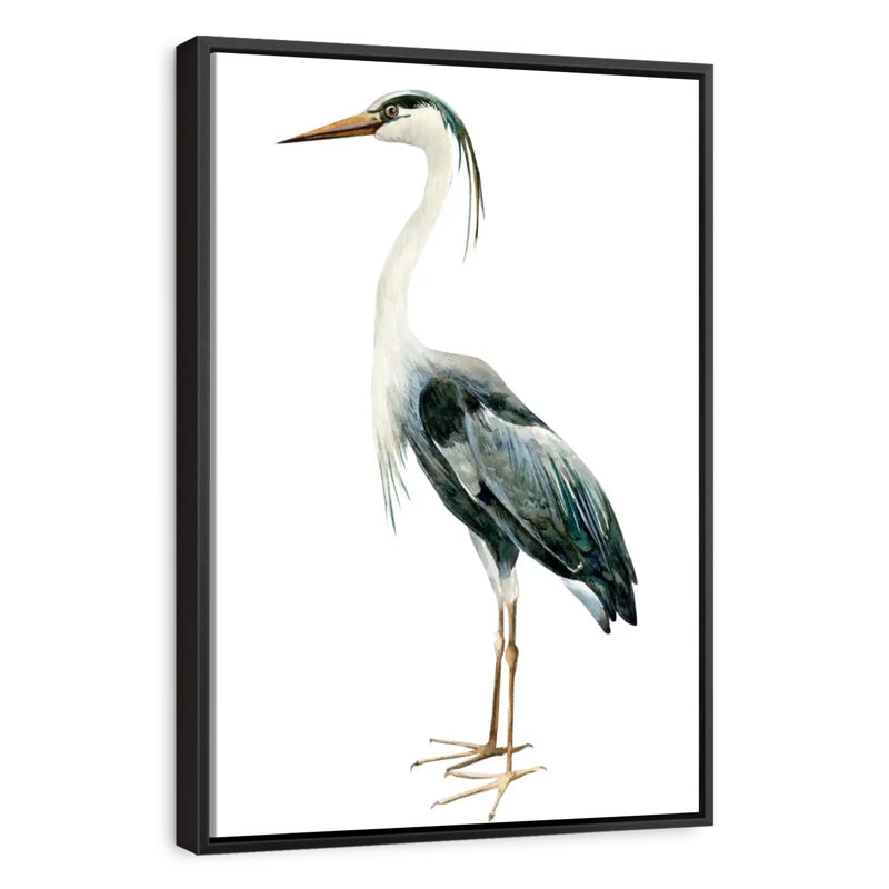 Profil du héron, Cadre flottant noir, 21 po x 31 po