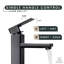 Robinet pour salle de bain ANZZI Nettuno