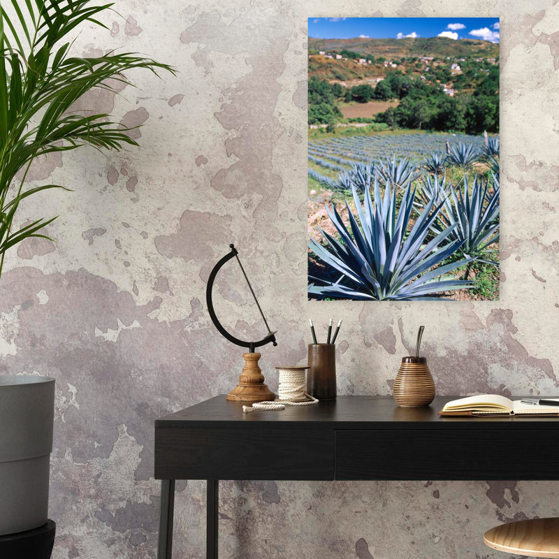 Téquila, agave, culture, Mexique, paysage contemporain contemporain, art, H 24 po x l 16 po