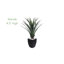 54'' Faux Agave Plant in Stone Planter