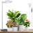 Grow Light, LED Plant Light For Indoor Plants Growing, Full Spectrum Desk Growth Lamp With Automatic Timer For 4H/8H/12H, 4 Dimmable Levels, Height Adjustable 9.8"-30.6"