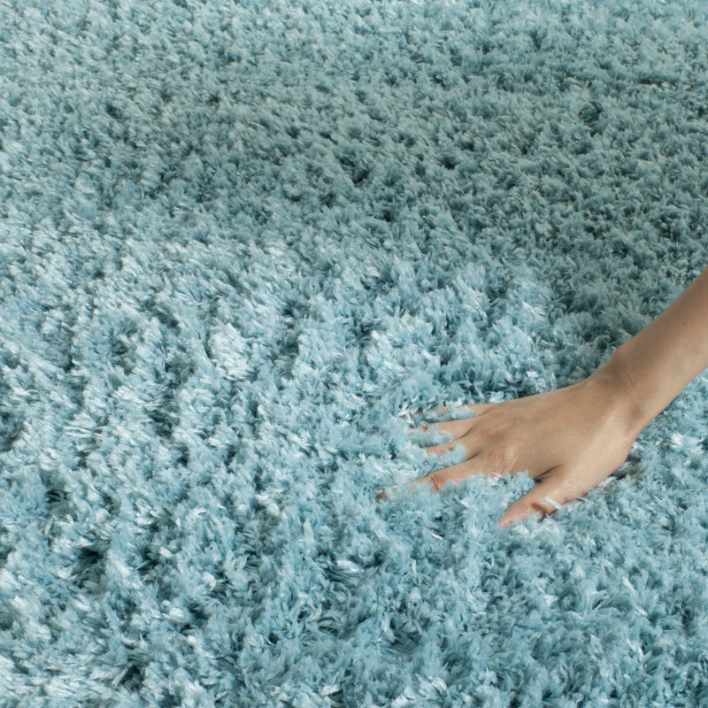 Jaydn Indie Shag Performance Solid Color Rug, Round 4'