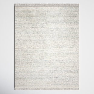 https://assets.wfcdn.com/im/95951565/resize-h310-w310%5Ecompr-r85/2187/218757318/wyly-hand-knotted-wool-gray-rug.jpg