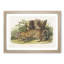 Jaguar by J.W. Audubon - Framed Print-55576105-55576106
