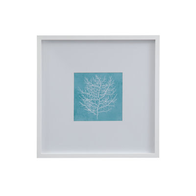 «White Coral on Blue II», reproduction encadrée