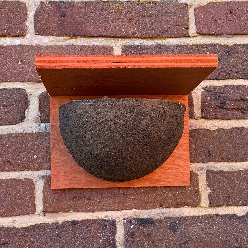 House Martin Mounted Bird House