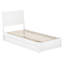 Lit gigogne en bois massif Avdesh-17206722-17206721