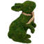Lapin vert 10,5