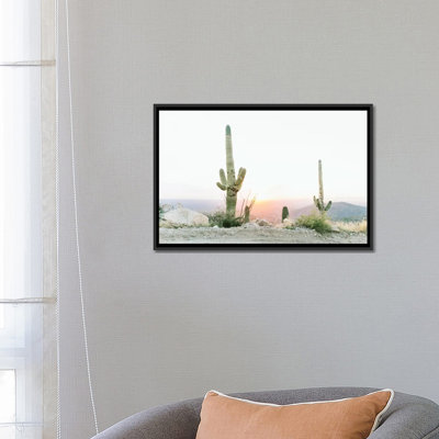 «Saguros in the Sun, Tuscon, Arizona», photographie