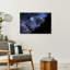 Electric Blue Frogfish Contemporary Fish Nature Ocean Wall Art Print 1 Piece Wrapped Canvas Wall Art-1646934939