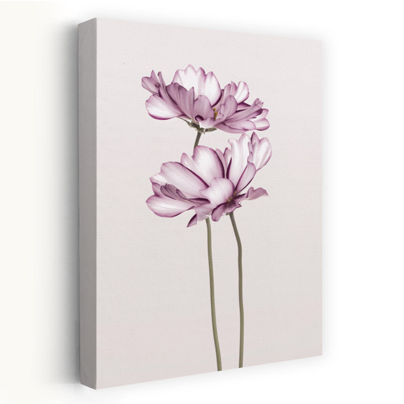 Cosmos 2, art floral contemporain, H 48 po x l 32 po