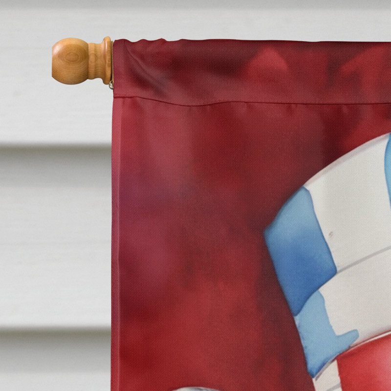 Drapeau patriotique de la maison américaine, Papillon