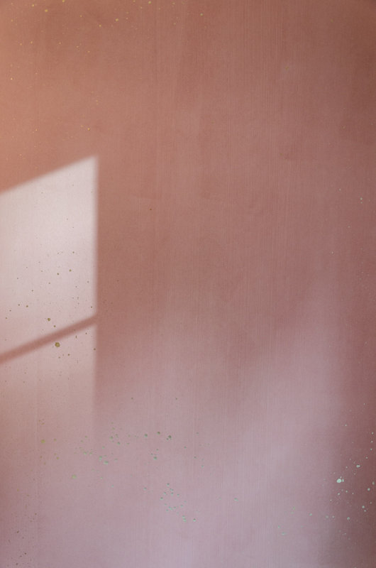 Cosmos Wallpaper, 26" W x 144" L, Blush Pink/Gold/White